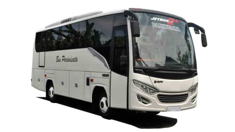 Bali Driver For Bus 25 Seater Charter
